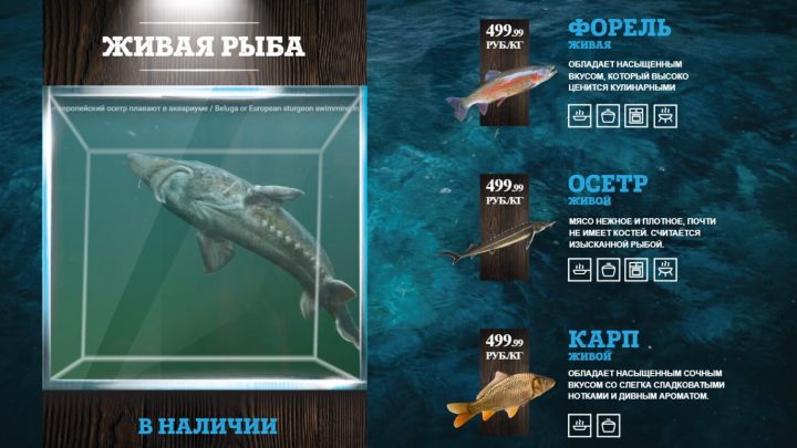 Рыбные продукты в интерактивном формате на экране